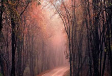 天空：伯利&传媒大亨蒙哥马利竞购电讯报，报价可能低于5亿镑.