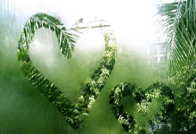 鲸鱼体育：欧冠女排联赛全明星投票活动开启 朱婷袁心玥进入候选名单.